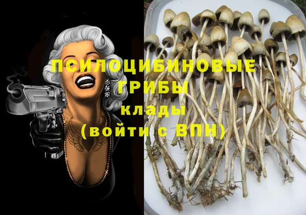 молекула духа Липки