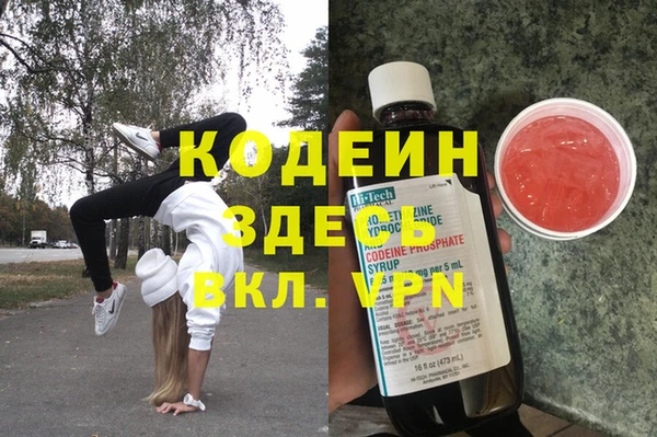 спиды Лиски