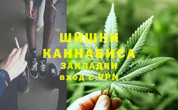 спиды Лиски