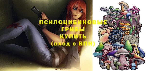 дживик Лихославль