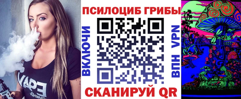 продажа наркотиков  Чулым  мега   Псилоцибиновые грибы ЛСД 
